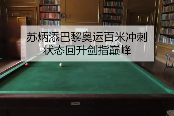 su-bing-tian-ba-li-ao-yun-bai-mi-chong-ci-zhuang-tai-hui-sheng-jian-zhi-dian-feng-2-104.jpg